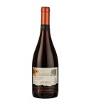 Ventisquero Reserva Pais Moscatel Valle Del Maule